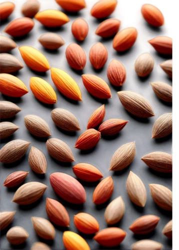 grains,seed wheat,cocoa beans,pine nuts,coffee grains,sprouted wheat,seeds,pine nut,dried cloves,sunflower seeds,almond nuts,kidney beans,durum wheat,kernels,seed,pumpkin seeds,cereal grain,lentils,seed stand,fregula,Conceptual Art,Daily,Daily 23