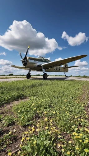 antonov an-2,douglas dc-3,fokker f28 fellowship,douglas dc-2,douglas dc-4,douglas dc-6,lockheed model 10 electra,petlyakov pe-8,cessna 206,de havilland canada dhc-4 caribou,cessna 150,cessna 210,cessna 152,cessna 172,douglas dc-7,cessna 182,cessna 185,fokker f27 friendship,douglas c-47 skytrain,ju 52,Photography,General,Realistic