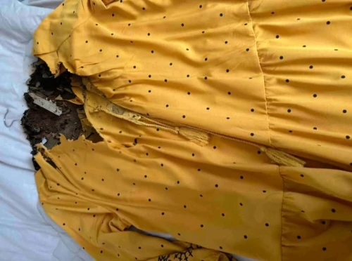 cat in bed,camouflage,camouflaged,duvet cover,bed sheet,sleeping bag,sleeping cat,cat sleeping on back,pj,duvet,a curtain,military camouflage,pjs,bedding,cat,camo,empty sheet,cat image,bed skirt,hide-and-seek