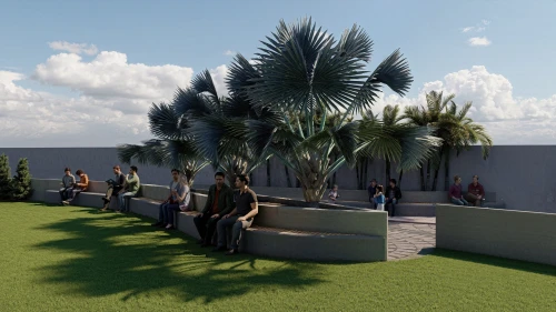 roof garden,landscape design sydney,roof terrace,3d rendering,landscape designers sydney,roof landscape,garden design sydney,palm garden,sky space concept,landscape plan,render,grass roof,climbing garden,terrace,artificial grass,school design,daylighting,turf roof,wine palm,landscaping