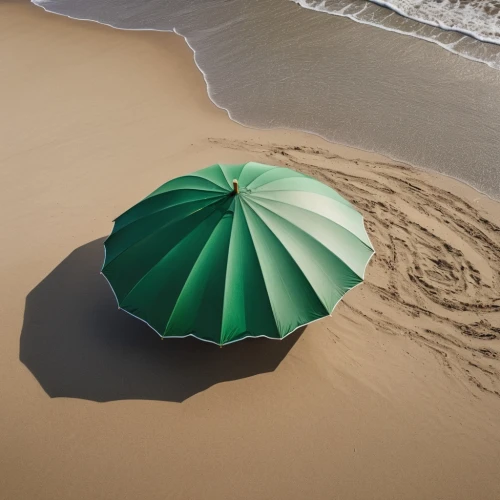 beach umbrella,aerial view umbrella,overhead umbrella,summer beach umbrellas,summer umbrella,admer dune,parasols,cocktail umbrella,sand seamless,paper umbrella,japanese umbrella,parasol,umbrella beach,asian umbrella,sand pattern,sand clock,umbrella pattern,dune sea,shifting dunes,beach defence,Photography,General,Natural