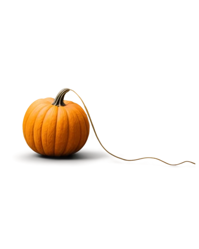 calabaza,halloween pumpkin gifts,halloween pumpkin,candy pumpkin,funny pumpkins,pumpkin autumn,white pumpkin,decorative pumpkins,pumpkin carving,pumpkin,balloon with string,pumkin,gourd,jack-o'-lantern,cucurbit,scarlet gourd,pumpkin lantern,halloween pumpkins,jack o'lantern,jack o lantern,Conceptual Art,Fantasy,Fantasy 07
