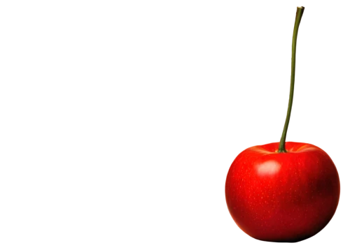 bladder cherry,red apple,apple logo,jew apple,greed,red fruit,apple icon,worm apple,great cherry,red apples,cherry twig,bell apple,red plum,apple design,drupe,cherry,a tomato,schisandraceae,half of an apple,jewish cherries,Conceptual Art,Daily,Daily 04
