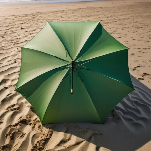 beach umbrella,aerial view umbrella,overhead umbrella,cocktail umbrella,summer beach umbrellas,summer umbrella,umbrella pattern,umbrella beach,parasols,japanese umbrella,paper umbrella,beach defence,chair and umbrella,watermelon umbrella,brolly,parasol,asian umbrella,beach tent,green sail black,umbrella,Photography,General,Natural