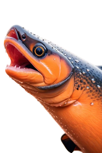 gar,fjord trout,eel,salmon-like fish,conger eel,nemo,oncorhynchus,steckerlfisch,piranha,skink,tobaccofish,anodorhynchus,salmon,arctic char,nigiri,moray,amphiprion,cichla,fish,smooth newt,Conceptual Art,Fantasy,Fantasy 21