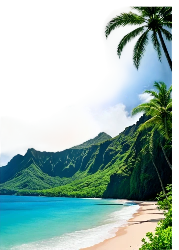 hawaii,napali coast,kauai,tropical beach,molokai,beautiful beaches,dream beach,beach landscape,beautiful beach,south pacific,antilles,oahu,blue hawaii,napali,beach scenery,caribbean beach,tropical sea,paradise beach,mountain beach,the caribbean,Conceptual Art,Daily,Daily 18