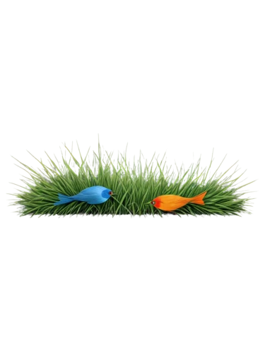 grass golf ball,grass blades,golf course grass,lawn aerator,artificial grass,grass,golftips,artificial turf,golf lawn,lawn game,quail grass,halm of grass,meadow fescue,block of grass,dad grass,grass wipe,lawn,blade of grass,wheat germ grass,mow,Illustration,Vector,Vector 13