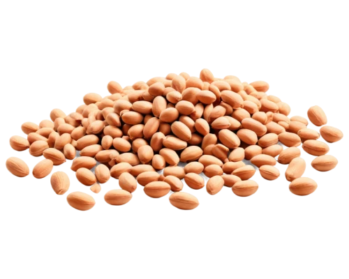 cowpea,pine nut,fenugreek,lentils,pine nuts,legume,kidney beans,common bean,soybean,chickpea,unshelled almonds,fregula,pigeon pea,lentil,mung bean,hippophae,soybeans,beans,almond nuts,java beans,Art,Artistic Painting,Artistic Painting 22