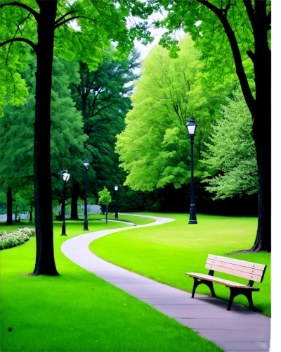 tree lined path,green space,aa,green trees,tree lined,walk in a park,tree-lined avenue,green forest,aaa,green landscape,tree lined lane,green lawn,greenery,row of trees,background view nature,park bench,urban park,green trees with water,tree canopy,the park,Art,Artistic Painting,Artistic Painting 23