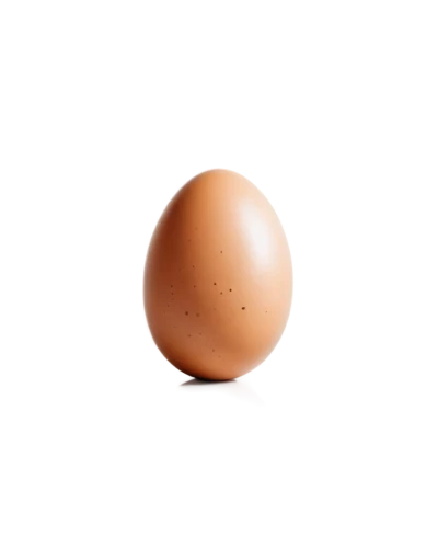 chicken egg,egg,brown egg,eggshell,large egg,soy egg,hen's egg,bisected egg,egg shell,organic egg,boiled egg,painted eggshell,chicken eggs,cracked egg,egg cooked,egg shells,goose eggs,range eggs,egg face,eggshells,Photography,Documentary Photography,Documentary Photography 35