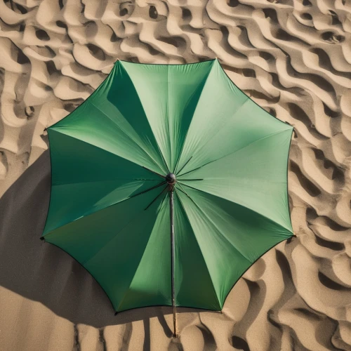 beach umbrella,aerial view umbrella,overhead umbrella,summer beach umbrellas,summer umbrella,umbrella pattern,admer dune,cocktail umbrella,parasols,paper umbrella,sand seamless,japanese umbrella,umbrella beach,asian umbrella,parasol,sand pattern,sand texture,sand dune,umbrella,sand dunes,Photography,General,Natural