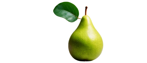 asian pear,pear cognition,pear,rock pear,pears,feijoa,sapodilla,avacado,common guava,starfruit,kelapa,scaphosepalum,peperoncini,avo,oleaceae,fig,pepino,green kiwi,avocado,guava,Illustration,Vector,Vector 15