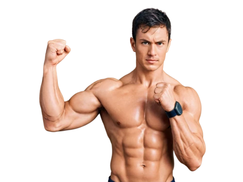 bodybuilding supplement,body building,fitness and figure competition,biceps curl,kickboxing,fitnes,bodybuilding,fitness coach,muscle icon,body-building,bodybuilder,male model,fitness professional,fat loss,anabolic,kettlebell,kettlebells,bodypump,personal trainer,combat sport,Unique,3D,Panoramic