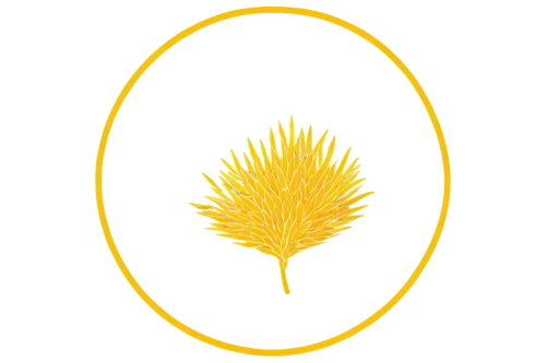 nz badge,ananas,punakaiki,papua new guinea,zoroastrian novruz,papua,taranaki,lotus png,kalimantan,echidna,lazio,harissa,banksia,pinapple,card thistle,ananas comosus,nz,iran,apulia,pineapple basket,Illustration,Abstract Fantasy,Abstract Fantasy 14