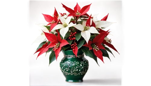 stargazer lily,poinsettia,christmas orchid,splendens,easter lilies,natal lily,peace lilies,poinsettia flower,christmas arrangement,funeral urns,anthurium,christmas flower,peruvian lily,turk's cap lily,flowers png,ornamental plants,gymea lily,pineapple lilies,peace lily,torch lilies,Conceptual Art,Sci-Fi,Sci-Fi 13