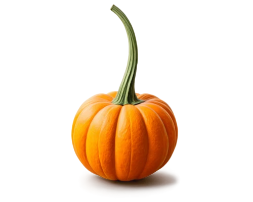 calabaza,candy pumpkin,halloween pumpkin gifts,cucurbita,pumpkin,halloween pumpkin,scarlet gourd,decorative pumpkins,cucurbit,pumkin,gem squash,hokkaido pumpkin,gourd,figleaf gourd,winter squash,white pumpkin,pumpkin autumn,jack-o'-lantern,pumkins,cucuzza squash,Illustration,American Style,American Style 09