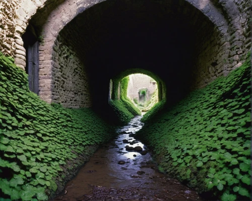 canal tunnel,plant tunnel,wall tunnel,tunnel,tunnel of plants,train tunnel,water channel,aqueduct,hollow way,wall,aaa,railway tunnel,patrol,vaulted cellar,tributary,passage,moat,longues-sur-mer battery,drainage,mud wall,Photography,Black and white photography,Black and White Photography 06