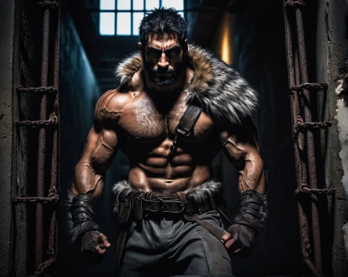 barbarian,bane,wolverine,male character,mercenary,cent,wolfman,hercules,viking,raider,sparta,gladiator,warlord,brute,game character,spartan,scar,orc,minotaur,leopard's bane,Photography,Artistic Photography,Artistic Photography 05