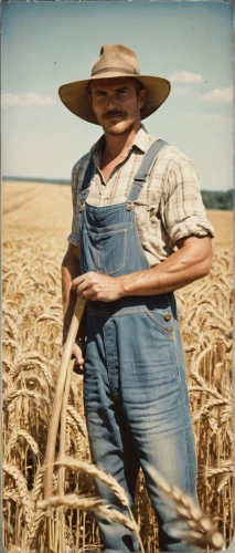 woman of straw,roumbaler straw,farmworker,threshing,farmer,grain harvest,farm girl,straw harvest,reed belt,straw hat,aggriculture,farmers,agriculture,triticum durum,woman holding pie,furrow,dinkel wheat,threshed,einkorn wheat,furrows,Photography,Documentary Photography,Documentary Photography 03