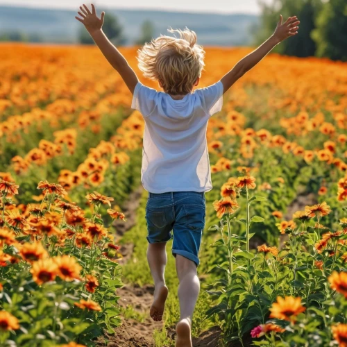 picking flowers,flower field,girl picking flowers,field of flowers,flowers field,girl in flowers,flower background,sunflower field,poppy fields,poppy field,field of poppies,flying dandelions,flower wall en,chasing butterflies,children's background,little girl in wind,cornflower field,flower nectar,calendula,to grow up,Photography,General,Realistic