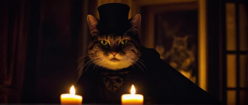 halloween cat,candle wick,napoleon cat,candlelight,dracula,halloween black cat,ringmaster,golden candlestick,bram stoker,the cat,cat sparrow,candlelights,wick,black candle,count,hallloween,top hat,cat image,vampire,costume hat,Unique,3D,Toy