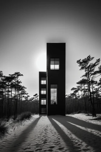 dunes house,mirror house,cube house,cubic house,beach house,sylt,frame house,timber house,inverted cottage,wooden house,house silhouette,blackhouse,beachhouse,dune ridge,high-dune,monochrome photography,admer dune,japanese architecture,lonely house,the threshold of the house,Illustration,Black and White,Black and White 33