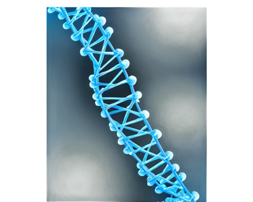 dna helix,dna,dna strand,genetic code,deoxyribonucleic acid,rna,nucleotide,biosamples icon,isolated product image,double helix,the structure of the,pcr test,biological,trisomy,chromosomes,png image,cell structure,limicoles,meiosis,acefylline,Illustration,Japanese style,Japanese Style 16
