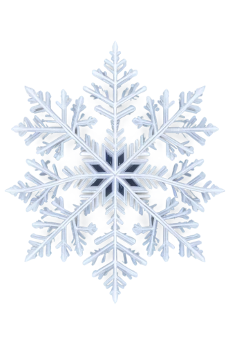 snowflake background,christmas snowflake banner,blue snowflake,snow flake,white snowflake,snowflake,ice crystal,wreath vector,snowflakes,christmas snowy background,summer snowflake,winter background,gold foil snowflake,fire flakes,christmas pattern,christmas motif,crystalline,flakes,red snowflake,snowflake cookies,Illustration,Black and White,Black and White 09