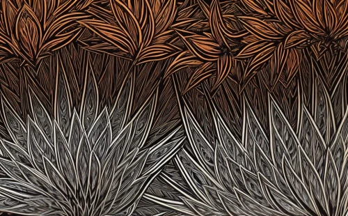 ornamental grass,wood daisy background,feather bristle grass,pine cone pattern,pennisetum,patterned wood decoration,dried grass,pine branches,silver grass,wood background,poaceae,background pattern,pine needles,aboriginal artwork,tropical leaf pattern,cardboard background,reed grass,elymus repens,aboriginal art,pine needle