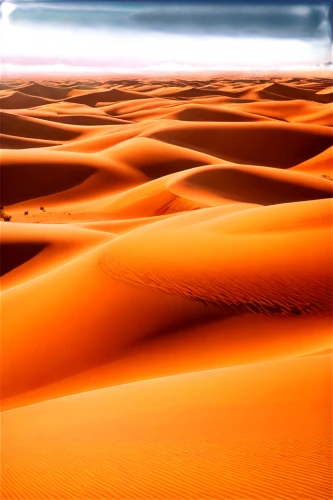 dune landscape,libyan desert,sahara,sahara desert,shifting dunes,sand dunes,sand dune,dune sea,shifting dune,dunes,desert desert landscape,crescent dunes,dune,sand waves,desert landscape,sand texture,desert background,pink sand dunes,admer dune,sand paths,Conceptual Art,Daily,Daily 28