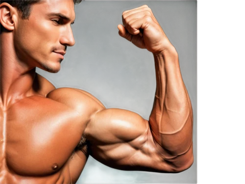 bodybuilding supplement,biceps curl,body building,body-building,muscle angle,triceps,anabolic,bodybuilding,buy crazy bulk,bodybuilder,fitness and figure competition,muscular system,muscle icon,muscular,fat loss,rotator cuff,muscular build,muscles,dumbbells,muscled,Unique,Paper Cuts,Paper Cuts 08