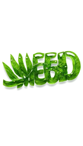 fiddlehead fern,pea,eco,patrol,biofuel,pea pod,fern leaf,green dragon vegetable,leaf fern,neem,seaweed,snap pea,weed,cannabidiol,flatweed,cbd oil,fern fronds,aloe vera,green energy,water spinach,Illustration,Black and White,Black and White 14