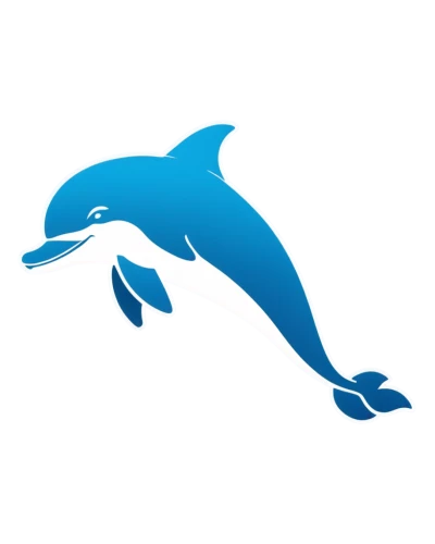 dolphin background,dolphin,bottlenose dolphin,bottlenose dolphins,marine mammal,cetacean,oceanic dolphins,dolphins,common bottlenose dolphin,white-beaked dolphin,bottlenose,porpoise,rough-toothed dolphin,northern whale dolphin,dolphin swimming,road dolphin,the dolphin,dolphin school,dolphinarium,flipper,Photography,Documentary Photography,Documentary Photography 02