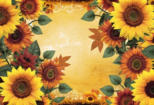 sunflower lace background,sunflower paper,sun flower,perennials-sun flower,sun flowers,sunflower digital paper,sunflowers in vase,sunflowers,sunburst background,flowers celestial,helianthus,yellow garden,flower background,flower gold,floral greeting card,magic star flower,sand coreopsis,floral background,sunflower,chrysanthemum background