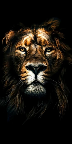 lion,panthera leo,lion head,forest king lion,lion number,skeezy lion,scar,african lion,two lion,male lion,lion - feline,lion father,lion's coach,to roar,lions,masai lion,zodiac sign leo,lion white,female lion,tiger png