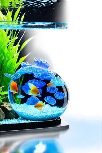 freshwater aquarium,ornamental fish,aquarium decor,fish tank,aquarium lighting,aquarium fish feed,blue angel fish,betta splendens,marine tank,reef tank,discus fish,siamese fighting fish,ornamental shrimp,aquarium,diamond tetra,acquarium,aquarium inhabitants,aquariums,aquatic plant,fighting fish,Illustration,Realistic Fantasy,Realistic Fantasy 19