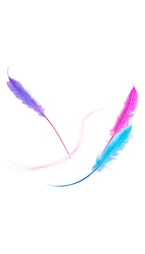color feathers,feather,feather pen,pink quill,pigeon feather,white feather,bird feather,parrot feathers,feathers,chicken feather,swan feather,feather jewelry,feather on water,rainbow pencil background,peacock feather,feather carnation,feather headdress,feathers bird,feather boa,butterfly vector,Conceptual Art,Daily,Daily 14