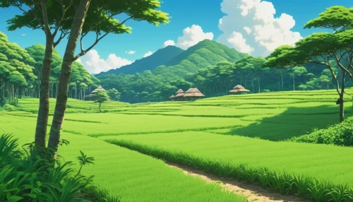 ricefield,rice fields,studio ghibli,green landscape,green valley,green wallpaper,the rice field,rice field,yamada's rice fields,rice terrace,green fields,landscape background,cartoon video game background,green meadow,green forest,vietnam,rural landscape,countryside,rice paddies,valley,Photography,General,Realistic