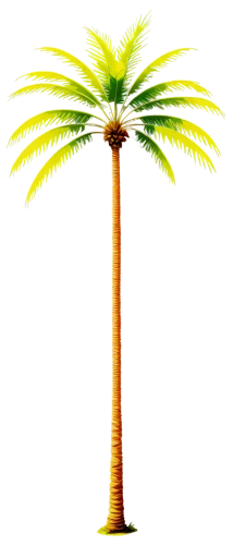 palm tree vector,palmtree,palm tree,cartoon palm,palm,coconut palm tree,palm in palm,coconut tree,easter palm,coconut palm,toddy palm,fan palm,palmtrees,potted palm,tropical tree,giant palm tree,palm pasture,desert palm,palm tree silhouette,oleaceae,Art,Classical Oil Painting,Classical Oil Painting 09