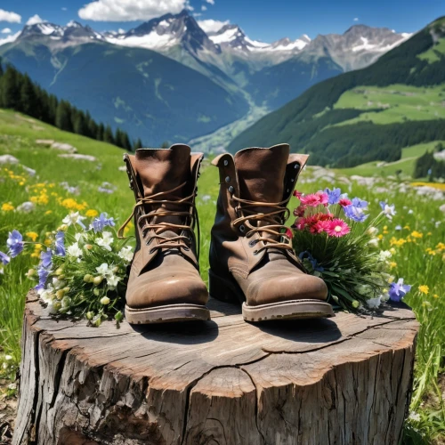 mountain boots,hiking boots,hiking boot,leather hiking boots,hiking shoes,hiking equipment,walking boots,hiking shoe,women's boots,steel-toed boots,mountain hiking,splint boots,steel-toe boot,alpine crossing,outdoor shoe,trekking poles,moon boots,bernese alps,high alps,durango boot,Photography,General,Realistic