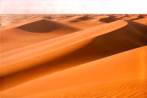 sahara desert,libyan desert,sahara,desert background,desert desert landscape,desert landscape,desert,merzouga,dubai desert,dune landscape,admer dune,capture desert,sossusvlei,dunes,namib,arid landscape,sand dune,shifting dune,sand dunes,shifting dunes,Illustration,Realistic Fantasy,Realistic Fantasy 19