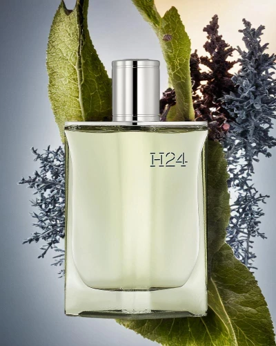 parfum,scent of jasmine,fragrance,christmas scent,aftershave,natural perfume,fragrant,creating perfume,home fragrance,perfume bottle,mazarine blue,w 21,scent,bergamot,scent of roses,body oil,tuberose,scented,crème de menthe,smelling