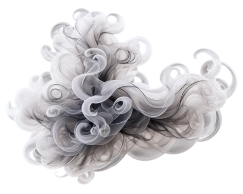 tangle,cellophane noodles,tendrils,silver octopus,wind wave,japanese wave paper,artificial hair integrations,sea anemone,gradient mesh,wind machine,coils,junshan yinzhen,hair ribbon,cnidaria,flaccid anemone,hair accessory,paper clouds,abstract smoke,cnidarian,swirling,Illustration,Black and White,Black and White 03