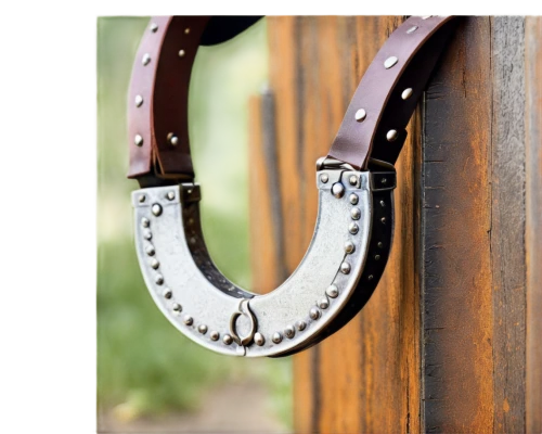 horse tack,horseshoes,horse shoes,horse shoe,bridle,horse harness,bicycle chain,decorative frame,copper frame,equestrian helmet,carabiner,wrought iron,escutcheon,circle shape frame,reed belt,belt buckle,pulley,coat hooks,eyelet,head plate,Art,Artistic Painting,Artistic Painting 37