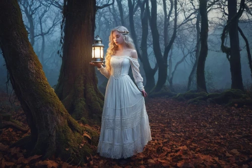 ballerina in the woods,lantern,mystical portrait of a girl,faerie,fairy lanterns,the night of kupala,light of night,enchanted forest,guiding light,sorceress,faery,fantasy picture,enchanted,fairy tale character,fairy tale,enchanting,vintage lantern,the enchantress,light bearer,conceptual photography,Illustration,Vector,Vector 05