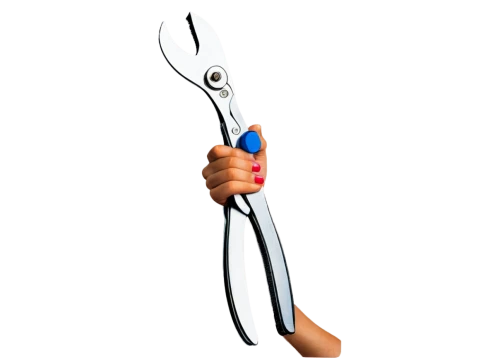 laryngoscope,surgical instrument,needle-nose pliers,round-nose pliers,pipe tongs,stethoscope,eyelash curler,tongue-and-groove pliers,water pump pliers,pruning shears,shears,slip joint pliers,fabric scissors,diagonal pliers,gaspipe pliers,nail clipper,pliers,tweezers,pair of scissors,hand scarifiers,Conceptual Art,Sci-Fi,Sci-Fi 12