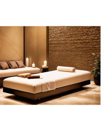 futon pad,chaise longue,inflatable mattress,outdoor sofa,air mattress,chaise lounge,massage table,waterbed,mattress pad,sofa bed,soft furniture,bed frame,chaise,futon,spa items,outdoor furniture,mattress,seating furniture,infant bed,santoor,Photography,Fashion Photography,Fashion Photography 12