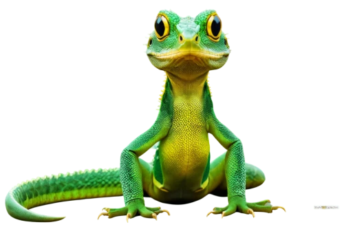 emerald lizard,malagasy taggecko,green lizard,green crested lizard,european green lizard,green iguana,iguanidae,iguana,dragon lizard,landmannahellir,reptile,patrol,ring-tailed iguana,eastern water dragon lizard,day gecko,reptiles,chinese water dragon,saurian,side-blotched lizards,lizard,Conceptual Art,Sci-Fi,Sci-Fi 17