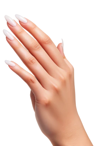 artificial nails,female hand,claws,nail,manicure,woman hands,nail oil,nail care,fingernail polish,nails,nail design,shellac,coral fingers,white palm,latex gloves,align fingers,human hand,human hands,nail polish,nail art,Illustration,Black and White,Black and White 28