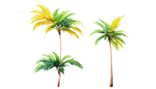 palm tree vector,palmtrees,palmtree,two palms,palm,cartoon palm,palm tree,palm trees,coconut palms,palms,heads of royal palms,fan palm,royal palms,palm pasture,palm in palm,palm silhouettes,easter palm,palm fronds,palm spings,coconut palm tree,Photography,Documentary Photography,Documentary Photography 23